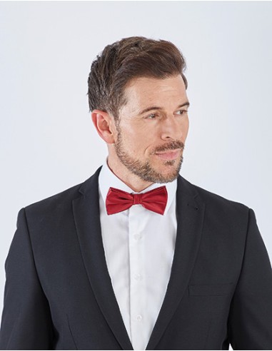 T-TT904-Satin Bow Tie